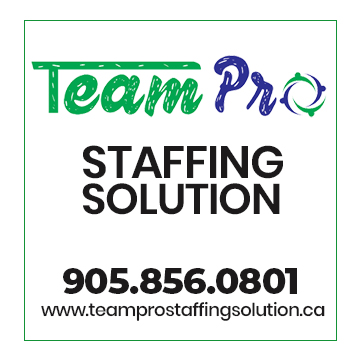 Solution Team Pro Staffing